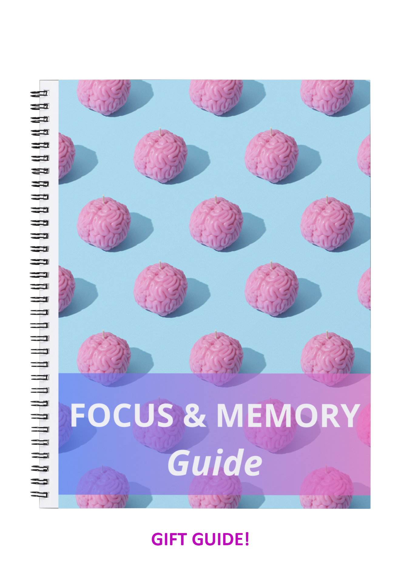 Focus & Memory Bundle
