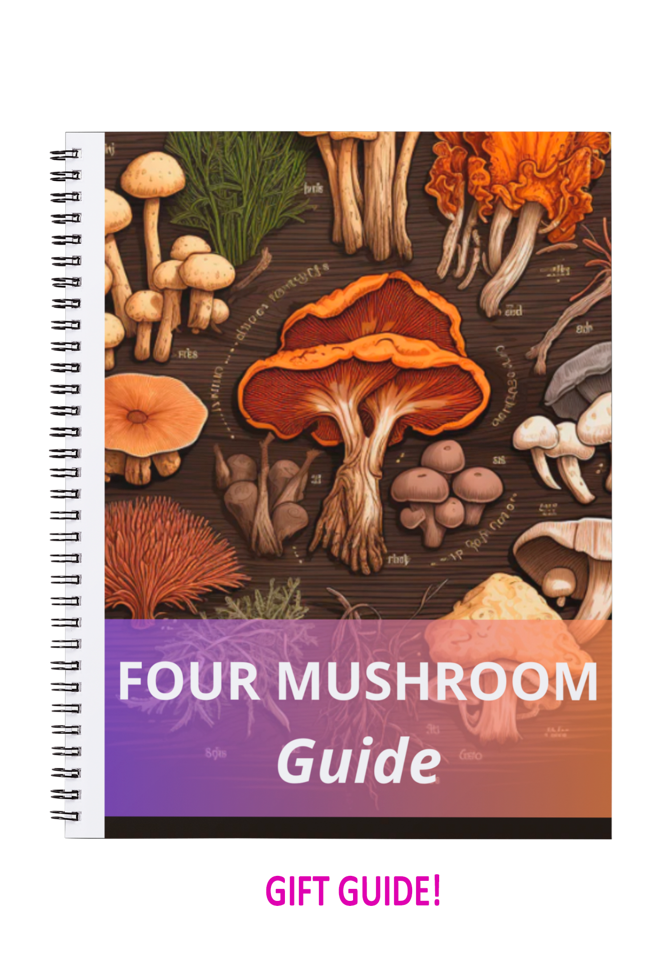 Four Mushrooms Bundle