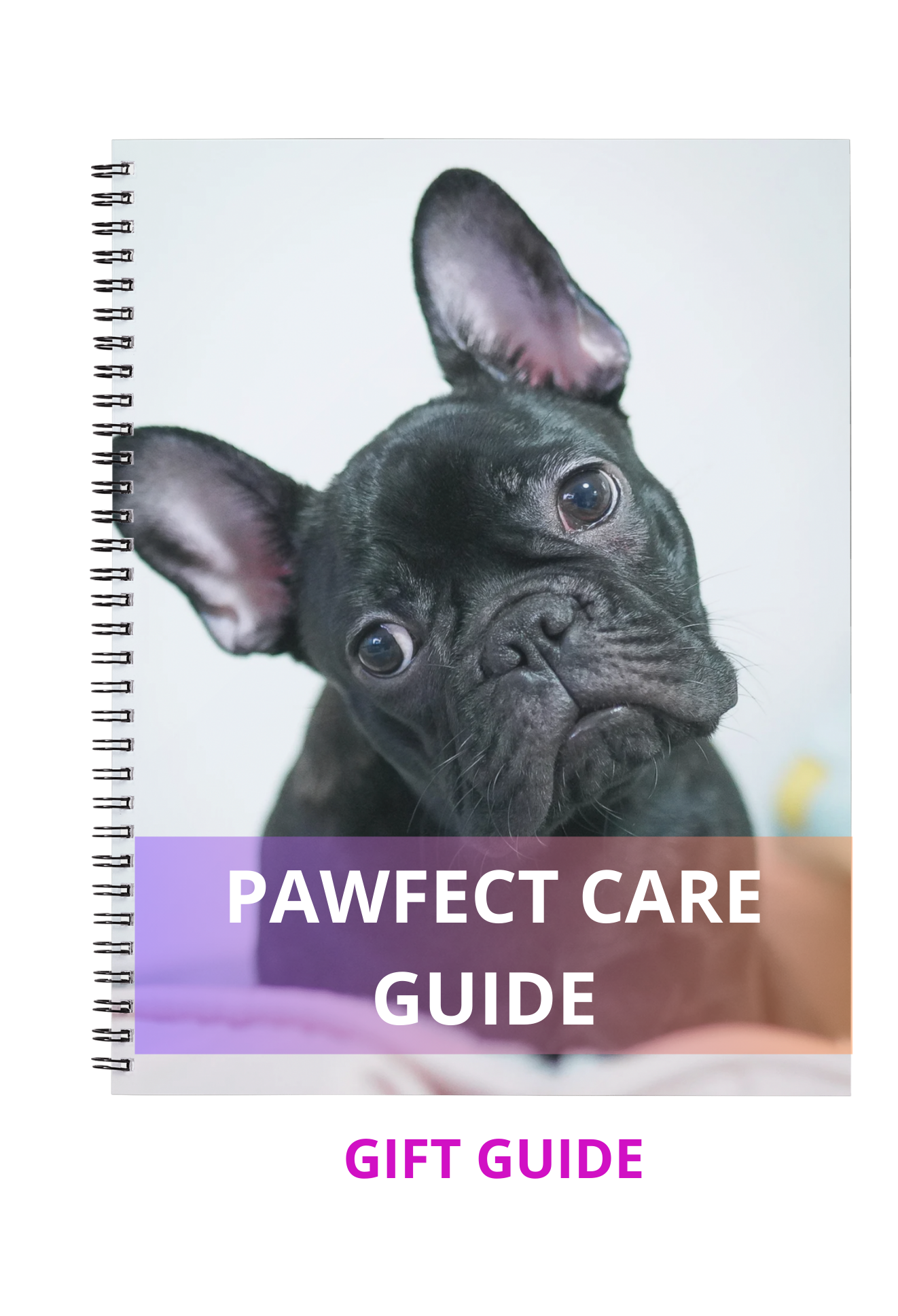 Pawfect Care Bundle