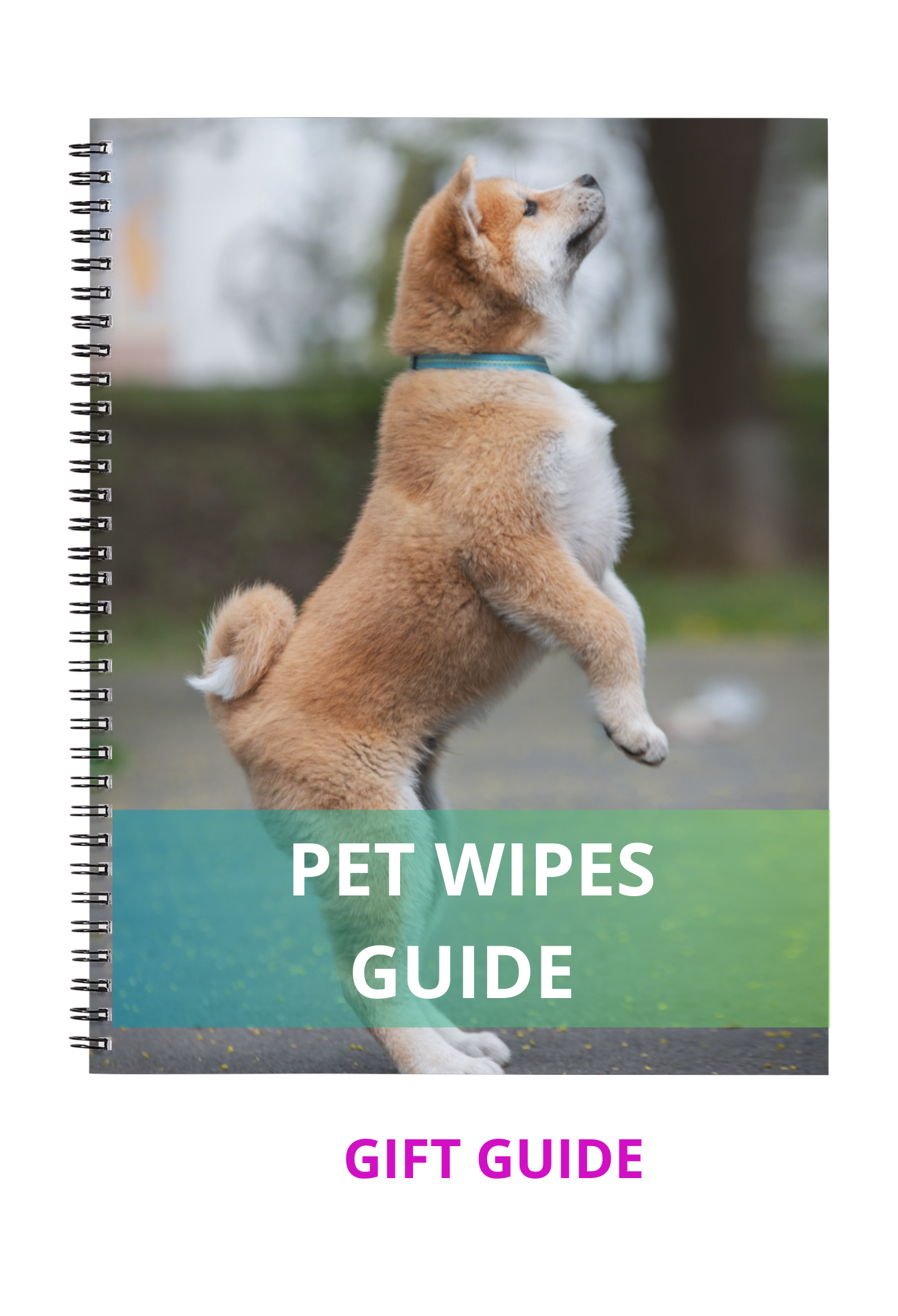 Pet Wipes Bundle