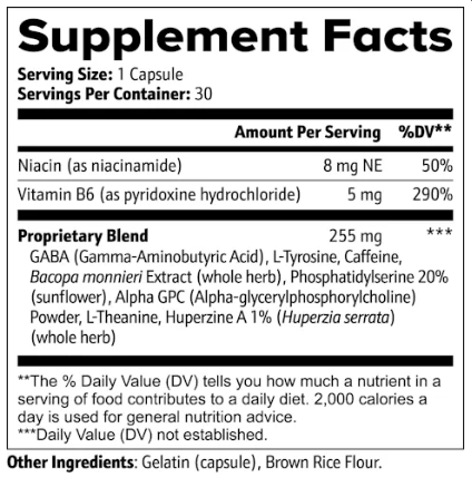 Cognitive Support (Included in Bundle) (Combat Pack)