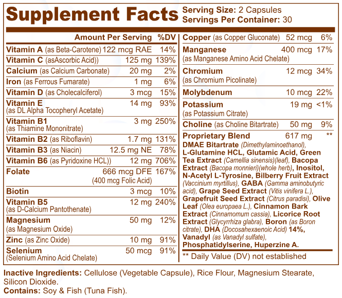 Nootropic Brain & Focus Formula (Included in Bundle)