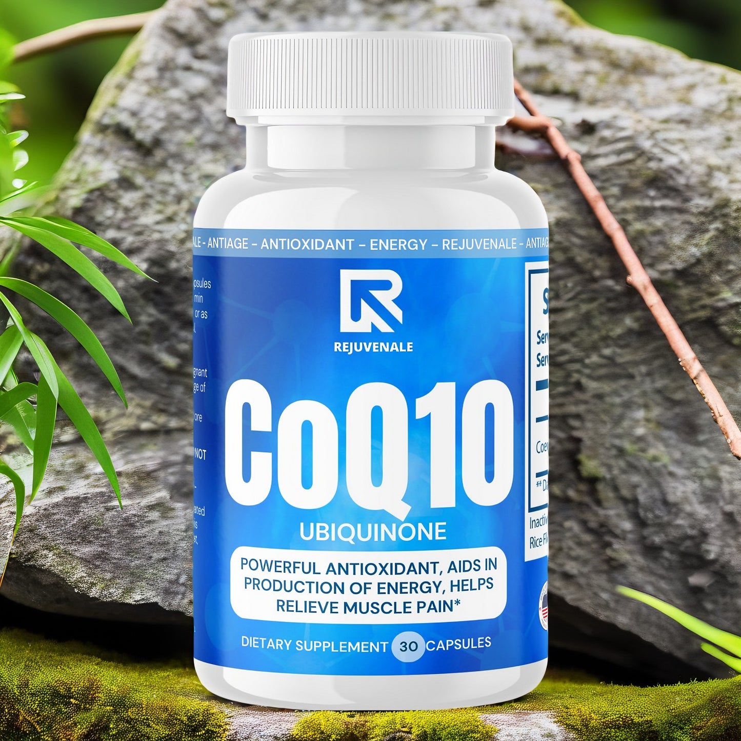 CoQ10 Ubiquinone