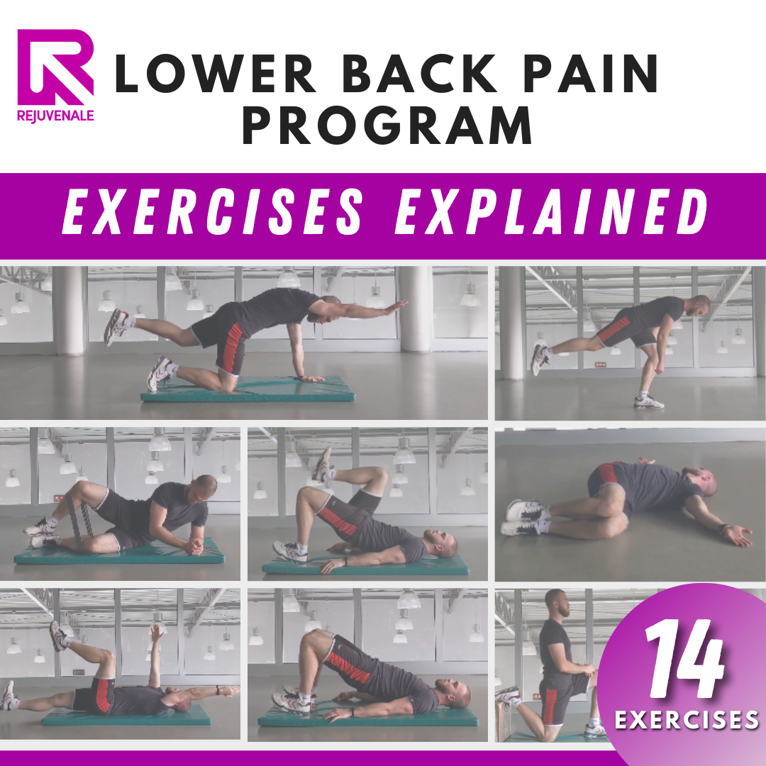 Lower Back Pain Program