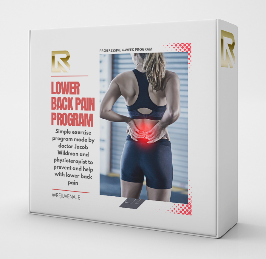 Lower Back Pain Program