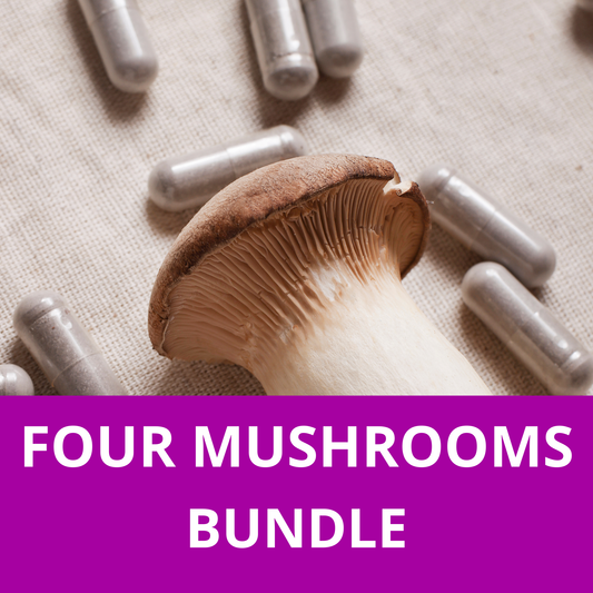 Four Mushrooms Bundle