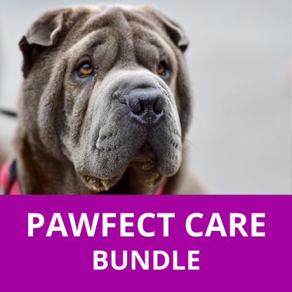 Pawfect Care Bundle