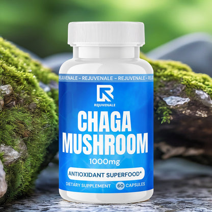 Chaga Mushroom