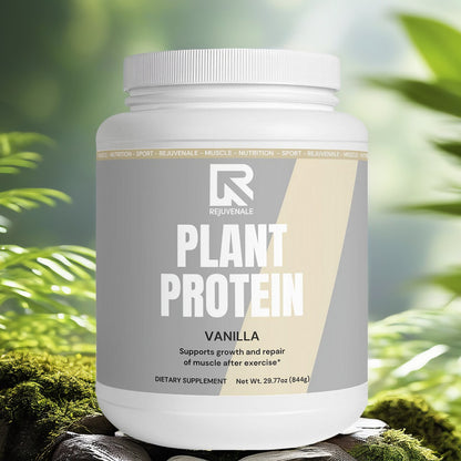 Plant Protein (Vanilla)