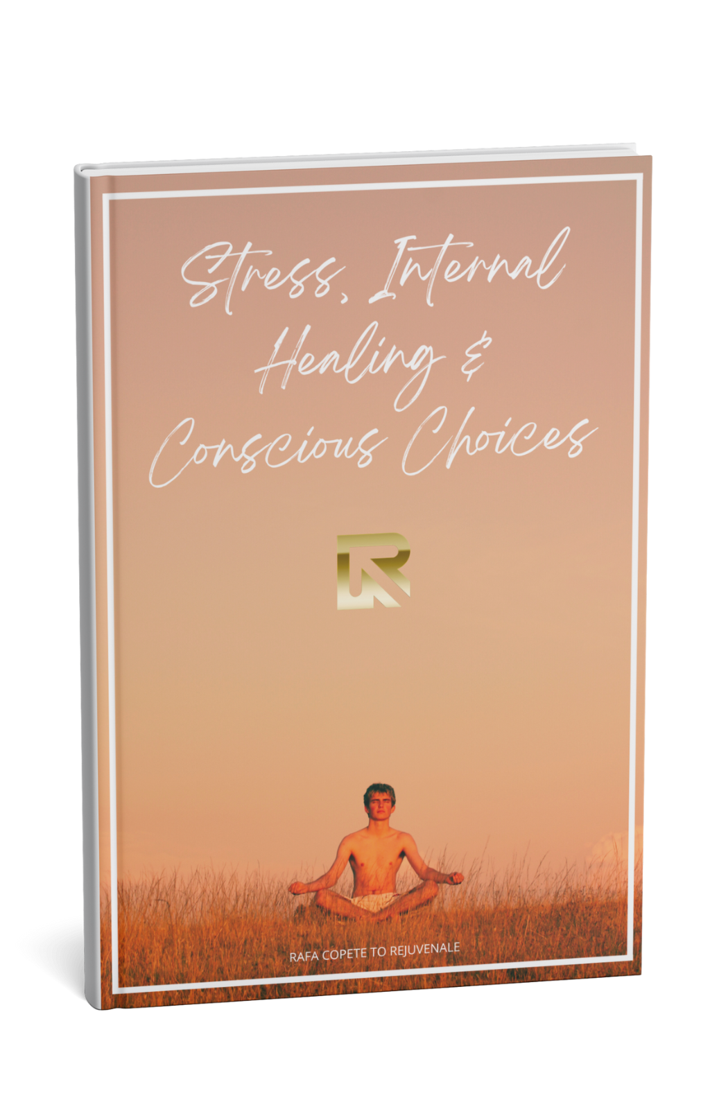 Ebook-Stress, Internal Healing & Conscious Choices