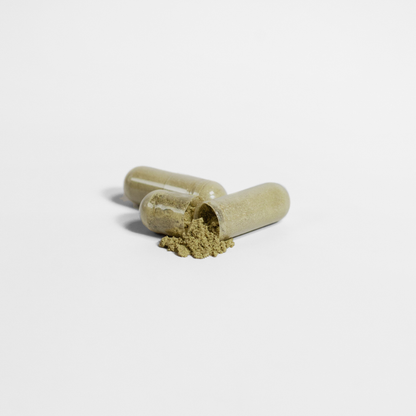 Ginkgo Biloba + Ginseng (Included in the Bundle)